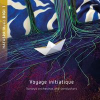 Various Orchestras - Voyage initiatique