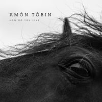 Amon Tobin - How Do You Live