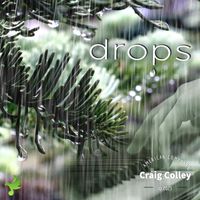 Craig Colley - Drops