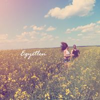 The Sign - Egyetlen