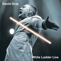 David Gray - White Ladder Live