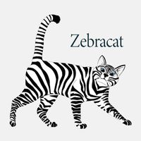 Jonas - Zebracat