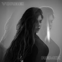 Dani - Vorbei (Remix) (Remix)