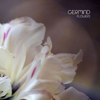 Germind - Flowers