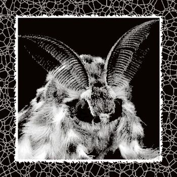 Firefly - Mothman
