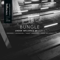 Bungle - Under Influence EP, Pt. 2
