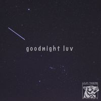 Lo-Fi Tigers - Goodnight Luv
