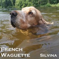 Silvina - French Waguette