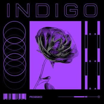 rozzo - Indigo