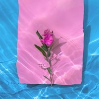 Gelka, Natalie Holmes - Suncream Pt. 2