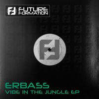 ERBass - Vibe in the Jungle EP