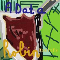 Robin Roelofs - 'A' Data