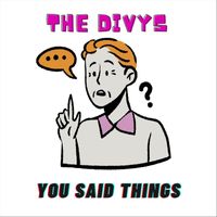 The Divys - You Said Things