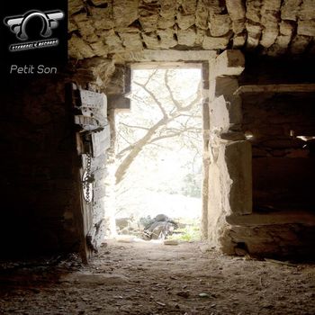 Petit Son - Discodeine