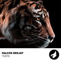 Falcos Deejay - Tigers
