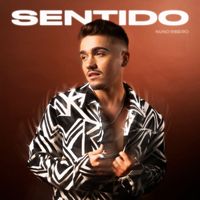 Nuno Ribeiro - Sentido