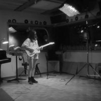 Koala Voice - The Bigger The City
