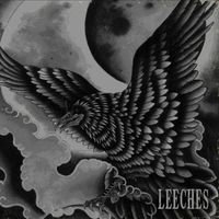 Leeches - Leeches