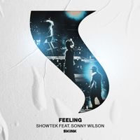 Showtek - Feeling (feat. Sonny Wilson)