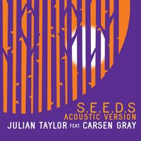 Julian Taylor - Seeds (Acoustic Version)