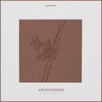 Job Roggeveen - Pitrus