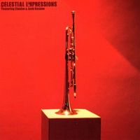 Elusive, Josh Koslow - Celestial Impressions