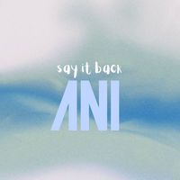 Ani - Say It Back
