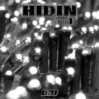 Trip B - HIDIN