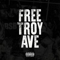 Troy Ave - Free Troy Ave (Explicit)
