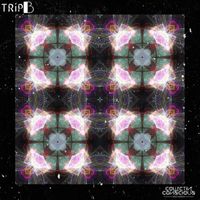 Trip B - FAT