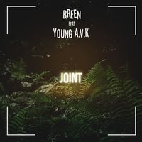 Breen - Joint (feat. Young A.V.K) (Explicit)