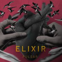 Elixir - Pulsar