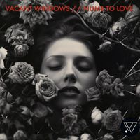 Vacant Windows - Numb to Love