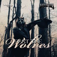 Keltrix - Past the Wolves