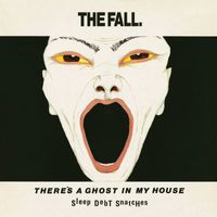 The Fall - There's a Ghost in My House