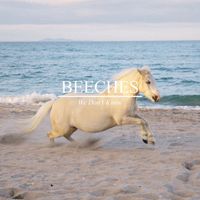 Beeches - We Don't Know