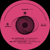 Keepsakes - The Seen Shall Swim Upstream (Kaos Mix)