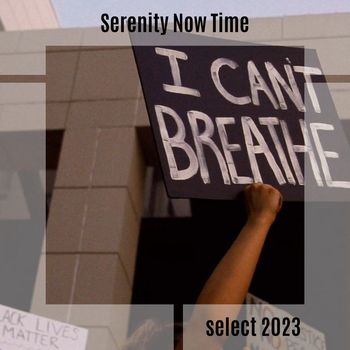 Various Artists - Serenity Now Time Select 2023