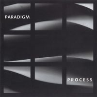 Paradigm - Process