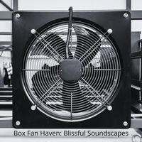 Isotopic Dreams - Box Fan Haven: Blissful Soundscapes