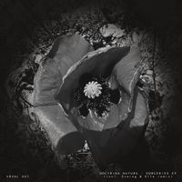 Doctrina Natura - Sorceries