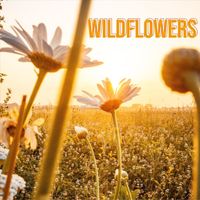 Bruce Lomet - Wildflowers