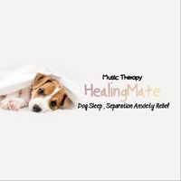 Healingmate - To Tell You