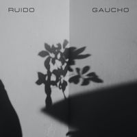Ruido Gaucho - Ruido Gaucho