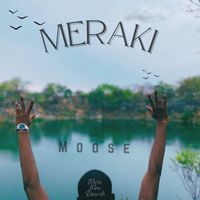 Moose - Meraki
