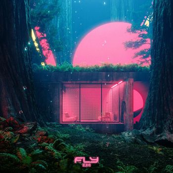 FLY - Deja Vu