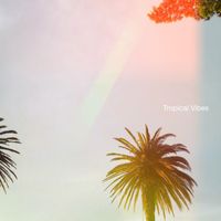 Alex Vibe - Tropical Vibes