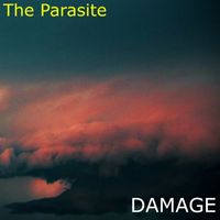 The Parasite - Damage