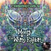 Crispr/Cas-9 - Meets the White Rabbit