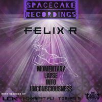 Felix R - Momentary Lapse Into Unconsciousness